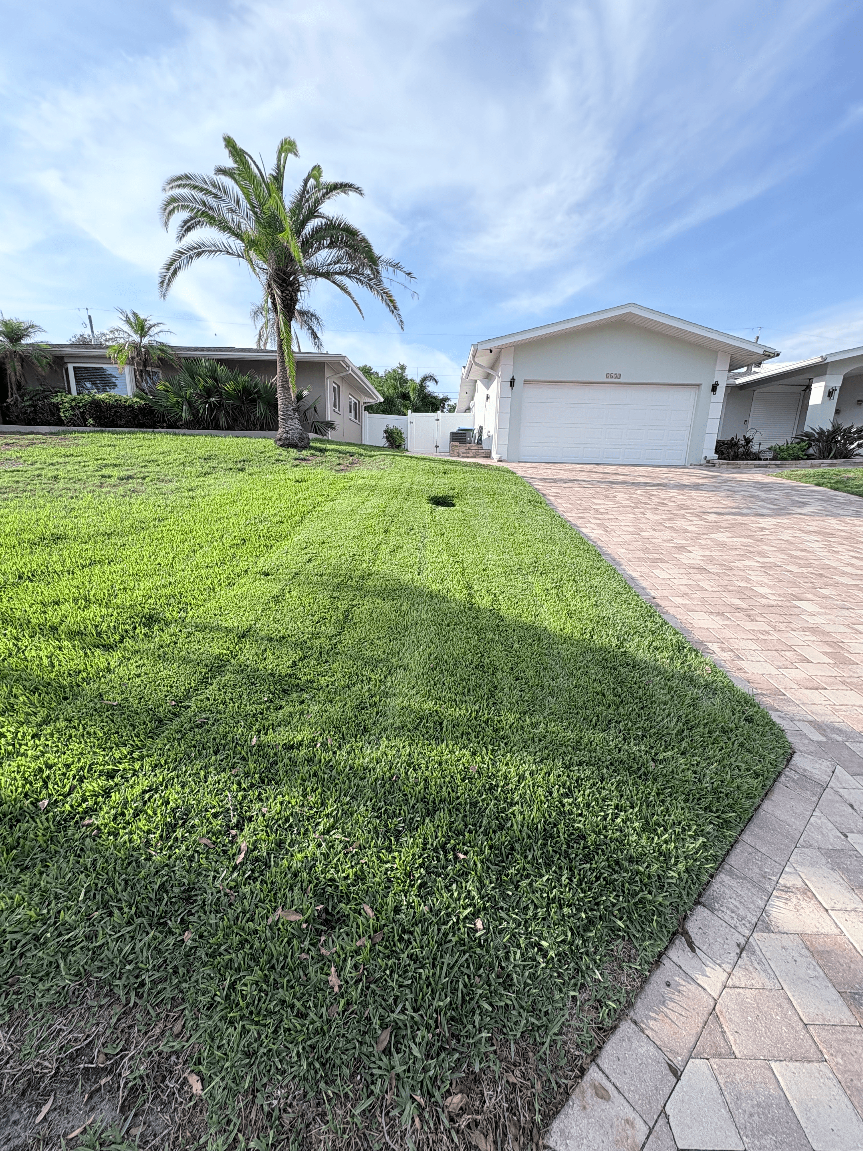 Lush green lawn and palm tree in front of a suburban home with brick driveway.